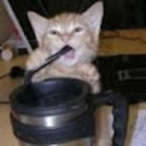 Meet your Posher, Java